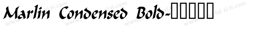 Marlin Condensed Bold字体转换